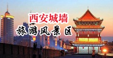 日本一本a免费不卡91下载中国陕西-西安城墙旅游风景区